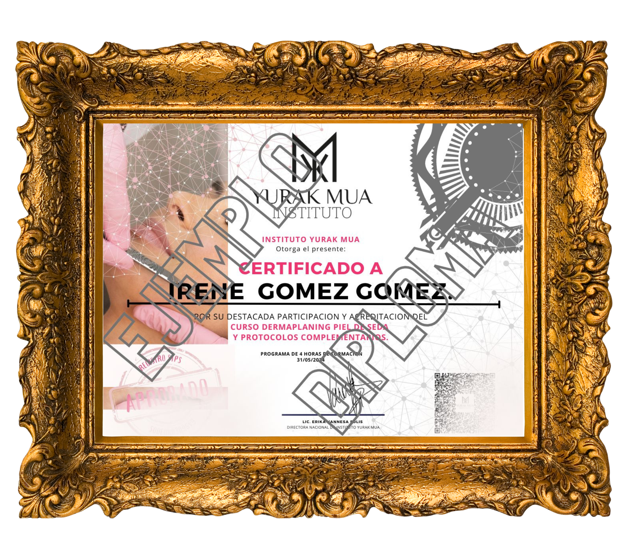 diploma
