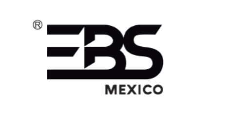Socio 6